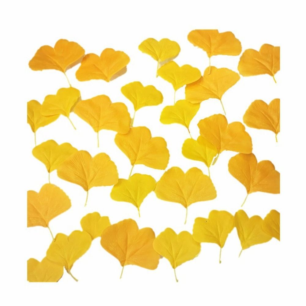 Desk Setup Photo - 100 Stuks Artificail Ginkgo Bladeren Geel